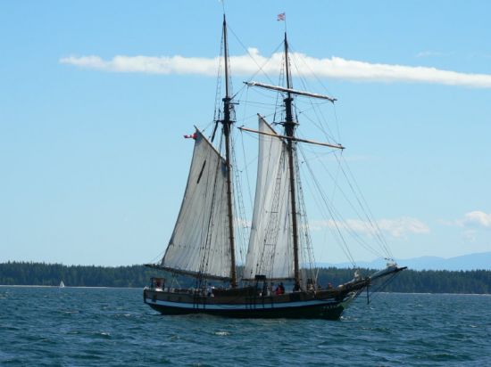 P. Swift setting sail
