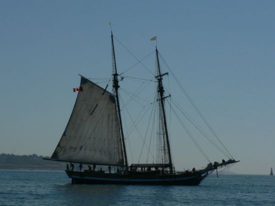Swift lowering sail