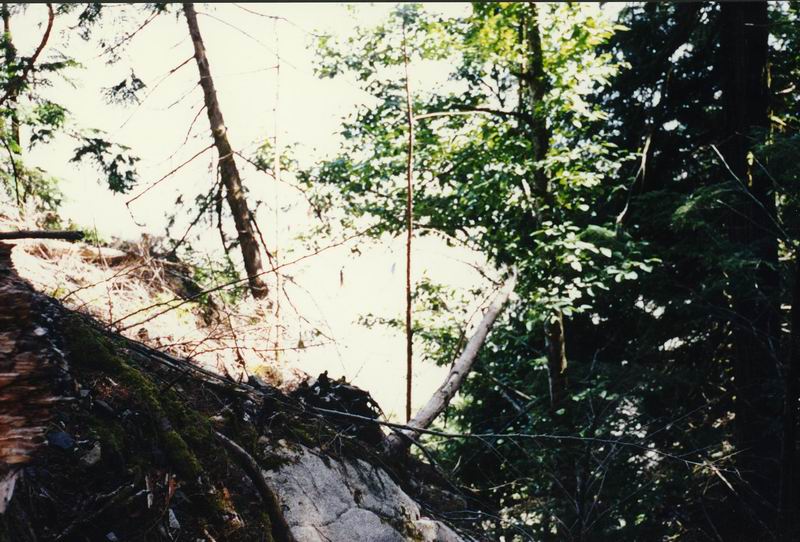 Robertson II 1992 Trip 3 41