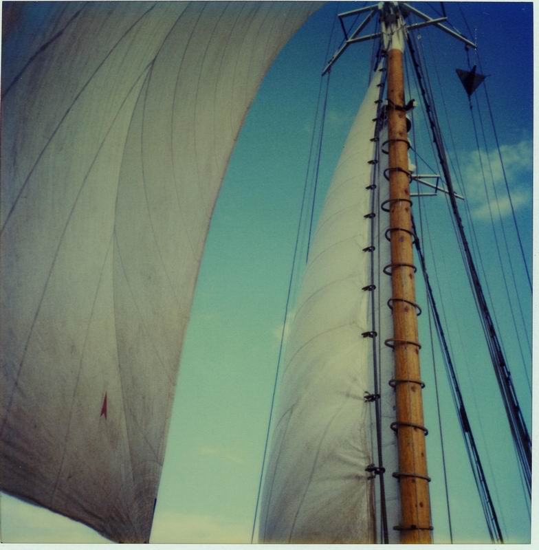 Sails looking good