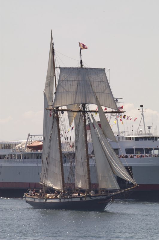 Victoria Tall Ships 2005 #83