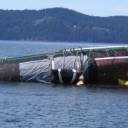 Robby II Aground - From August 15th 2007