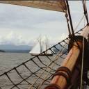 Smooth Sailing: We wernt the only ones having a good sail that day (this was off Nanaimo)