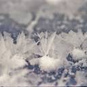 Frost Feathers