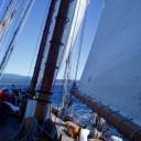 sailing: 