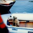 Can I come up to the big boat too - please...: We had visitors - this little cutie really wanted to come up as well...