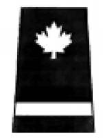 Training Officer Insignia