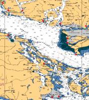 CCGA-P Partion Vessel Map