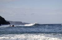 Middle Cove Surf