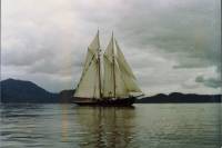 Sailing off the Sunshine Coast